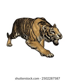 Tiger vector ilustration design isolated, this picture is animal ilustration vector panthera Tigris