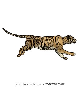 Tiger vector ilustration design isolated, this picture is animal ilustration vector panthera Tigris