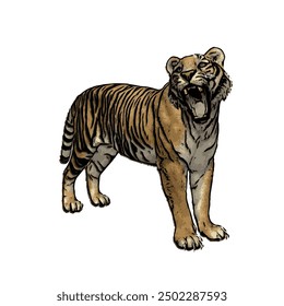 Tiger vector ilustration design isolated, this picture is animal ilustration vector panthera Tigris