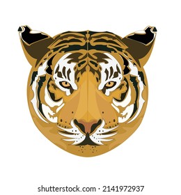 It  is  Tiger Vector image.