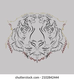 Tiger vector image illustrator king animal