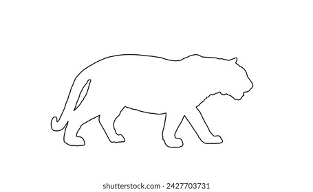 Tiger vector line contour silhouette illustration isolated on white background. Big wild cat. Siberian tiger or Bengal tiger. Silent predator. Strong animal symbol.