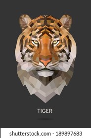 Tiger vector polygon