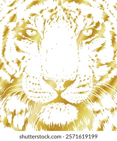 Tiger vector portrait illustration. Wild cat head detailed drawing. Majestic predator bengal art in golden over white.