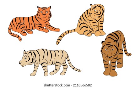 Tiger  vector set. Cartoon Tiger characters design collection with flat color in different poses. 