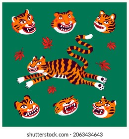 Tiger vector set, jumping tiger and tiger heads in cartoon Asian style. Organic flat style vector illustration..