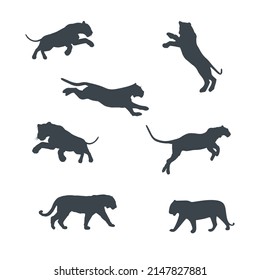 Silueta vectorial tigre en diferentes posiciones ilustrativas