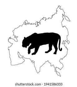 Tiger vector silhouette illustration isolated on Asia map continent contour on white background. Big wild cat. Siberian tiger (Amur tiger - Panthera tigris altaica) or Bengal tiger.