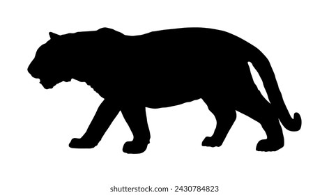 Tiger vector silhouette illustration isolated on white background. Big wild cat. Siberian tiger shape shadow. Tattoo sign.