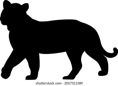 Tiger vector silhouette on white background