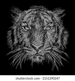Ilustración de boceto vectorial tigre, arte garabato