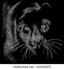 Tiger vector sketch illustration, scribble art