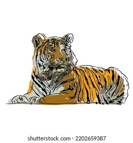 It's a tiger very big.