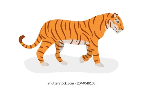 Tiger is walking. Isolated on a white background. Side view. The symbol of the new 2022. Vector. Cartoon style