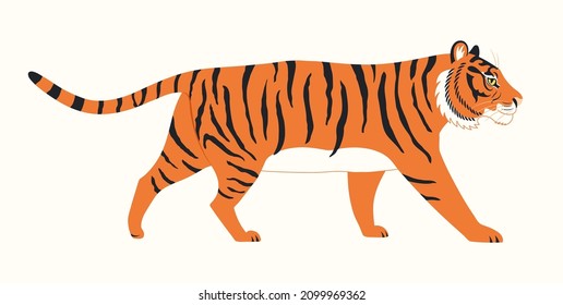 Tiger walking, isolated on white. Jungle wildlife, wild animal. Asian zodiac sign, astrological symbol. Hand drawn style vector illustration. 2022 Chinese New Year card, banner, horoscope element.