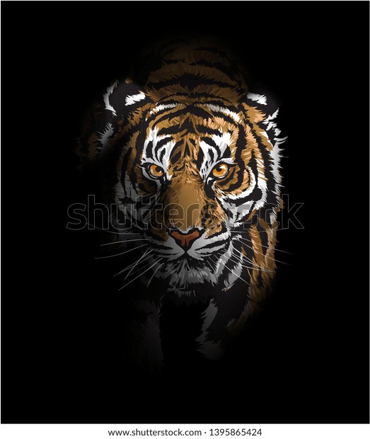 影のイラストを歩く虎 のベクター画像素材 ロイヤリティフリー