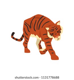 Tiger walking, wild cat, predator cartoon vector Illustration on a white background