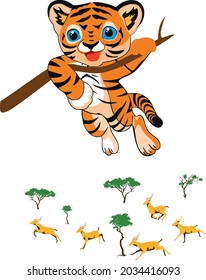 a tiger watches the deer