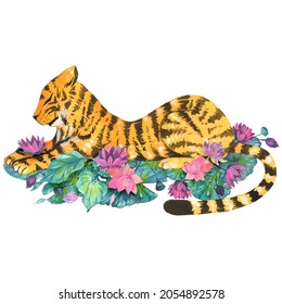 Tiger with water lilies, watercolor illustrations. Vector isolated elements.