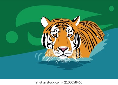 A tiger in water on a green background.