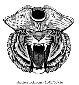 Tiger wearing pirate tricorn hat. Capitan costume.