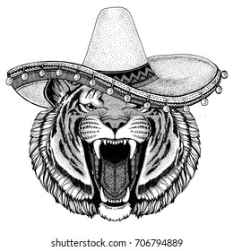 Tiger wearing sombero Vector illustration Old classic vintage style illustration for t-shirt, poster, banner, embem, badge, tattoo, zoo