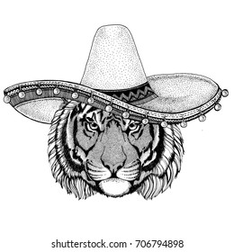 Tiger wearing sombero Vector illustration Old classic vintage style illustration for t-shirt, poster, banner, embem, badge, tattoo, zoo