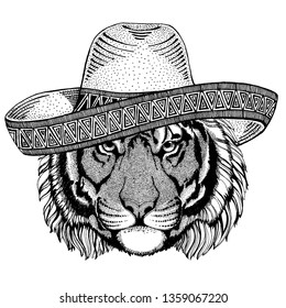 Tiger wearing traditional mexican hat. Classic headdress, fiesta, party.