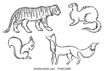 tiger, weasel, beak, fox