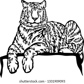 Tiger white and black vector illustration
