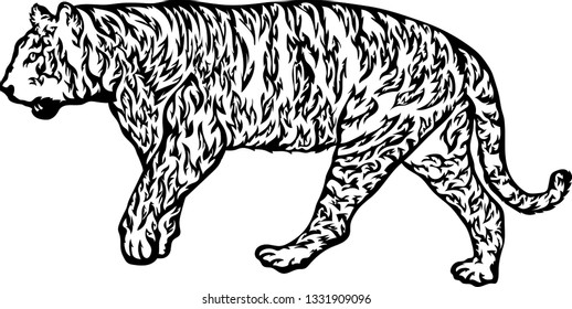 Tiger white and black vector illustration