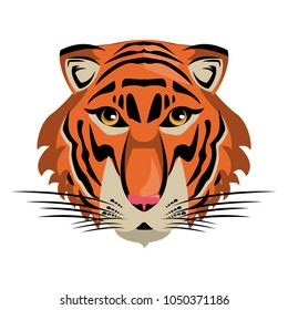 Tiger Wild animal