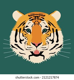 Tiger wild cat. Vector illustration