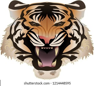 tiger without background