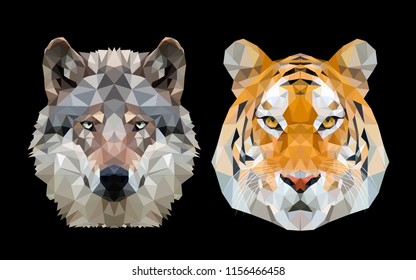 Tiger and Wolf in  night sky. vector illustration