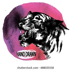 The tiger yawns . Roaring tiger . Drawing by hand in vintage style .