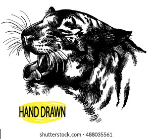 The tiger yawns . Roaring tiger . Drawing by hand in vintage style .