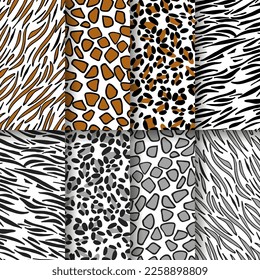 Tiger, zebra, giraffe and leopard print skin vector illustration design.