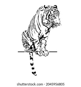 Tiger in the zoo of Thailand, Vector illustration and flat design.