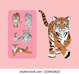 tigers animal icons set design