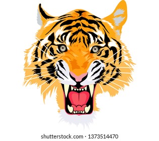 Tigers are animals belonging to the Chordata phylum, vertebrate subfilum, mammal class, meat eater, felidae family, panthera genus, and classified as tigris species.