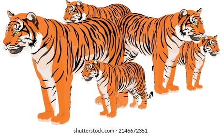 Tigers are animals that are preserved. Currently, the habitat and population of tigers is very threatened by the clearing of industrial land by humans