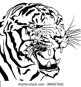 Tigers bared Isolated white background.