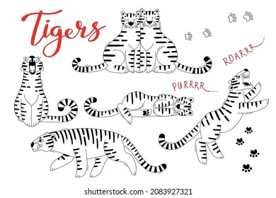 Tigers Clipart Set. Tiger Zodiac Symbols New Year 2022. Vector illustration.
