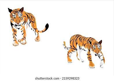 tiger's couple vector set isolated