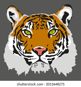 La cara del tigre sobre un fondo oscuro. Símbolo del año 2022.