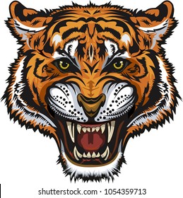 Tigers face.Saber-toothed tiger