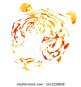 The tiger's head. Mixed media. Vector illustration