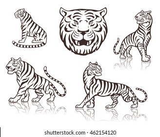 Tigers head   tigers sitting   walking illustration