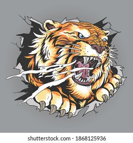 the tiger's head tore through the wall, editable layers vector